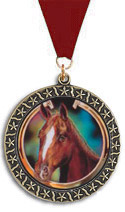 2.5 inch Star Insert Medals