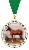 2.5 inch Cut Out Stars Insert Medals