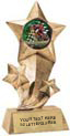 Shooting Star Insert Resin