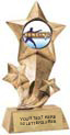 Shooting Star Insert Resin