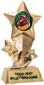 Shooting Star Insert Resin