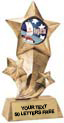 Shooting Star Insert Resin