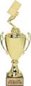 Metal Championship Cup (Gold)