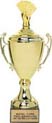 Metal Championship Cup (Gold)