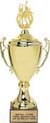 Metal Championship Cup (Gold)