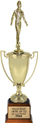 Metal Cup (Gold)