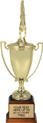 Metal Cup (Gold)
