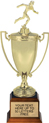 Metal Cup (Gold)