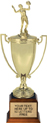 Metal Cup (Gold)