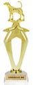 Mega-Star Riser Trophy