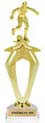 Mega-Star Riser Trophy
