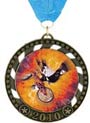 2.75 inch 2010 Insert Medals