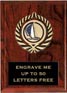 Plaque: Marbleized or Wood with Insert