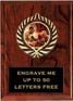 Plaque: Marbleized or Wood with Insert