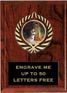 Plaque: Marbleized or Wood with Insert