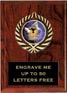 Plaque: Marbleized or Wood with Insert