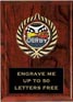 Plaque: Marbleized or Wood with Insert