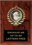 Plaque: Marbleized or Wood with Insert