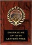 Plaque: Marbleized or Wood with Insert