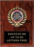 Plaque: Marbleized or Wood with Insert