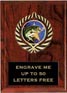 Plaque: Marbleized or Wood with Insert