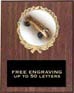 Plaque: Marbleized or Traditional Wood with Insert