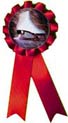 Insert ribbon (Red)