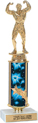 11 inch Shooting Star Column Riser Trophy