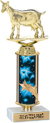 Trophy: w/ Shooting Star Column Riser
