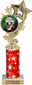 4 Star Color Insert Trophy w/ Column