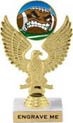 Eagle Color Insert Trophy