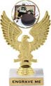 Eagle Color Insert Trophy