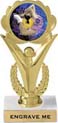 Victory Color Insert Trophy