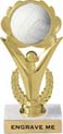 Victory Color Insert Trophy