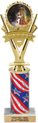 10.5 inch Five-Star Victory Color Insert Trophy w/ Column