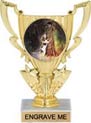 6 inch 1/2 Cup Color Insert Trophy