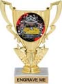 6 inch 1/2 Cup Color Insert Trophy