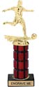 10 inch High Gloss Mahogany Trophy on Black Marble Base