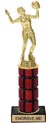 10 inch High Gloss Mahogany Trophy on Black Marble Base