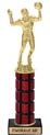 11 inch High Gloss Mahogany Trophy on Black Marble Base