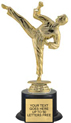 Trophy: Figure on black weighted base