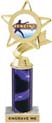 Star & Pennant Color Insert Trophy w/ Column