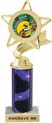 Star & Pennant Color Insert Trophy w/ Column