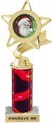 Star & Pennant Color Insert Trophy w/ Column