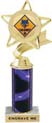 Star & Pennant Color Insert Trophy w/ Column