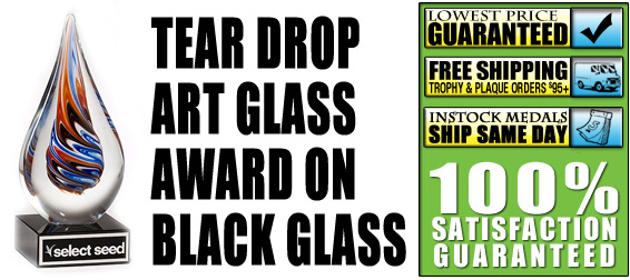 Teardrop-Shaped Art Glass Award