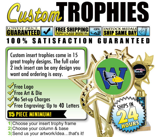 Custom Insert with Stock Columns Trophies