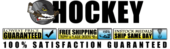 Hockey Trophies & Awards
