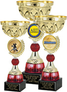 Gold Metal Insert Riser Cups