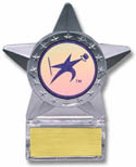 Krystal Clear Star Ice Award w/ Insert